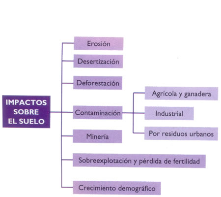 Diversas causas de la desertificación